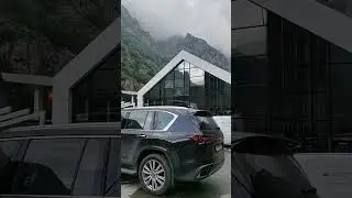 НОВЫЙ РАЗВОД на границе с ГРУЗИЕЙ😡