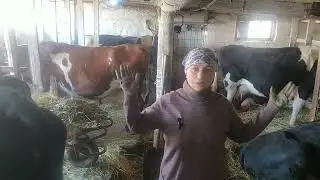 Обкакали Васю Алмазик постарался