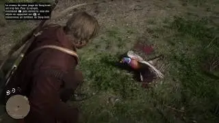 Red Dead Redemption 2 chasse au faisan