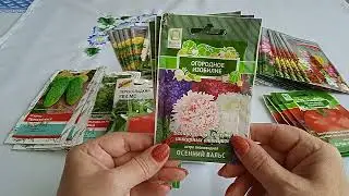 ЭКОНОМИМ СЕМЕЙНЫЙ БЮДЖЕТ. 🌼СЕМЕНА С ВЫГОДОЙ ДО 90%.