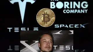 Elon Musk Pumping Bitcoin Again???