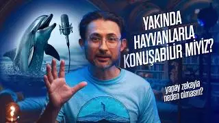 Yakında Hayvanlarla Konuşabilir miyiz? Yapay Zeka bunu hızlandırabilir!
