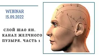 ВЕБИНАР СЛОЙ ШАО ЯН. КАНАЛ ЖЕЛЧНОГО ПУЗЫРЯ. ВЕБИНАР 1. КИТАЙСКАЯ МЕДИЦИНА.
