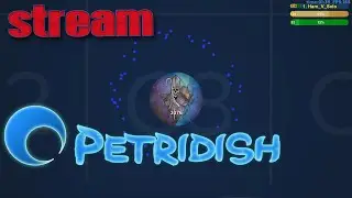 Petridish.pw | FFA Russia