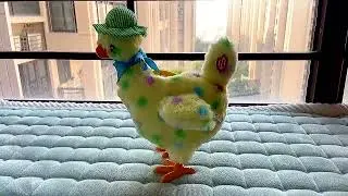 Fun! Stress Relief Toy