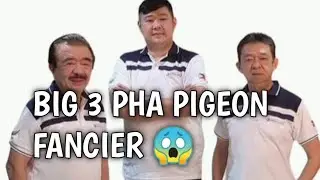 Sikat na pigeon Fancier sa pinas/Big 3 Egay yap,Jaime lim,Nelson chua 🤩