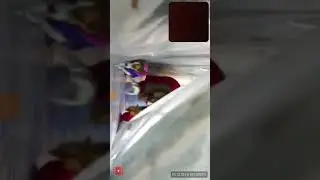 Ели ди