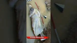 #aizonai