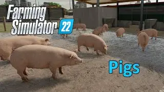 Farming Simulator 22 Tutorial | Pigs