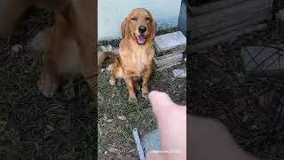 Blue Skye Learns a Lesson!