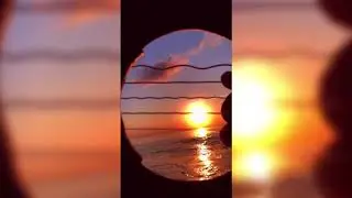 Pure Imagination inside of a Guitar (FingerStyle Arrangement by Chaos Canine)