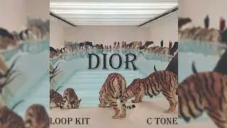 [FREE] [10+] LOOP KIT/SAMPLE PACK 