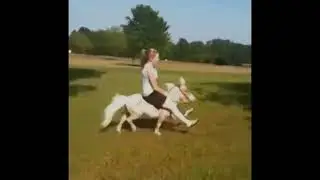 Jump fail and run