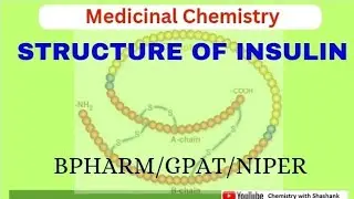Structure of InsulinII GPATII NIPERII Basics of Medicinal Chemistry
