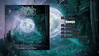 Insidious Nature (BR) - A Prelude To The Endless [FULL ALBUM 2023]
