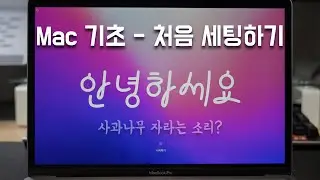 Mac 기초 - 처음 세팅하기