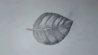How to Draw a  leaf  with pencil step step