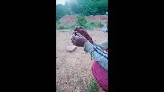 neeg tawv đub noj kab zaug tsov loj txaug tshai heev nawb