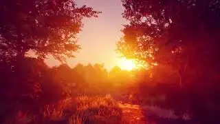 PETALS// full gameplay no commentary