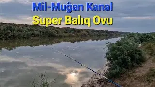 Mil-Muğan kanalında super balıq ovu. Noyabr 2023