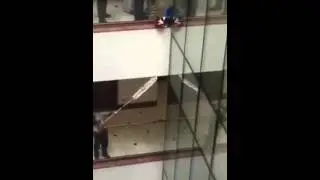 Gato se cae desde el piso 30 de un hotel