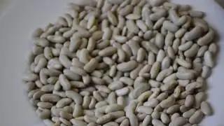 Фасоль белая (мелкая)