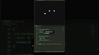 CSS @keyframes Animation 