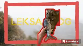 ‼️Как Лекса провела новогодние каникулы‼️
