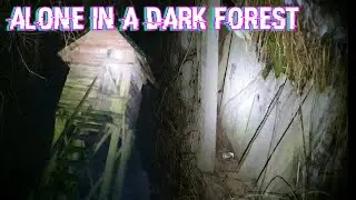 Scary walk in the woods alone at night (authentic movie)