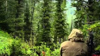 Wyoming Bear Hunt