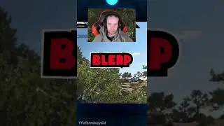 Playing guess the sound with streamers for $$$