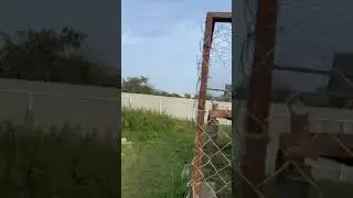 Одним ухом за рабочими, одним глазом за рыбаками ))