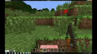 Minecraft tutorial how to tame a pig