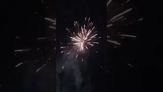 Closing Padi Reborn Pesta Rakyat Kabupaten Tegal. 