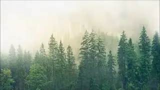 Весенний дождь в конце апреля 🌧🌧