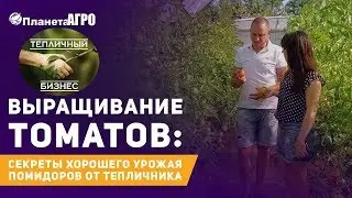 Выращивание томатов. В гостях канал Планета Агро.