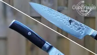 Griphinity Chef Knife Review (Pegasus Series)  - Japanese AUS10 + G10 Handle