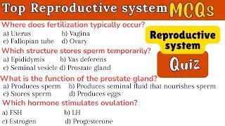 Reproductive System MCQs | Human Reproduction Questions with Answers | Biology MCQs