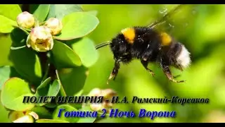 Полет шершня (Н. Римский-Корсаков, Готика 2 НВ, TheDuello)