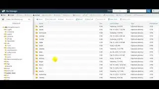 How To Upload WordPress theme using cPanel