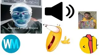 Top 5 Maau Sound Effects