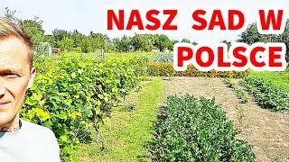 NASZ SAD W POLSCE, Co rosnie w naszym sadzie i jakie mamy plany #sad #działka #owoce