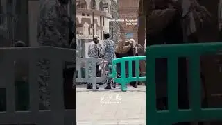Shocking: Guard slaps back after pilgrim tries to bypass barrier 