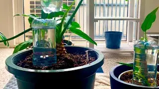 Self watering pot plant system hack - DIY