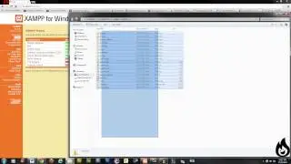 Use xampp and Dreamweaver to test and sync your website offline!