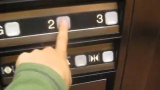 Full Hotel Tour Of Hampton Inn Ruston