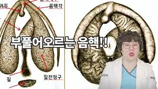 [산부인과TV 254편] 직접 못보여드려요...