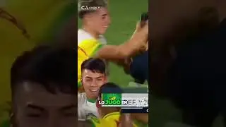 #defensayjusticia #jugara #la #final #de #la #copaargentina #los #alcones #de #varela #finalistas