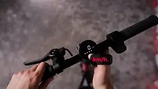 Discover the Grover Swift E-Scooter