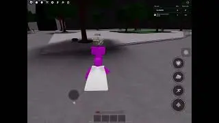 Rare Roblox bug…